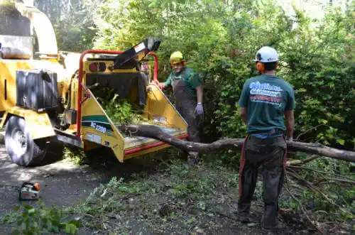 tree services Hidden Valley Lake